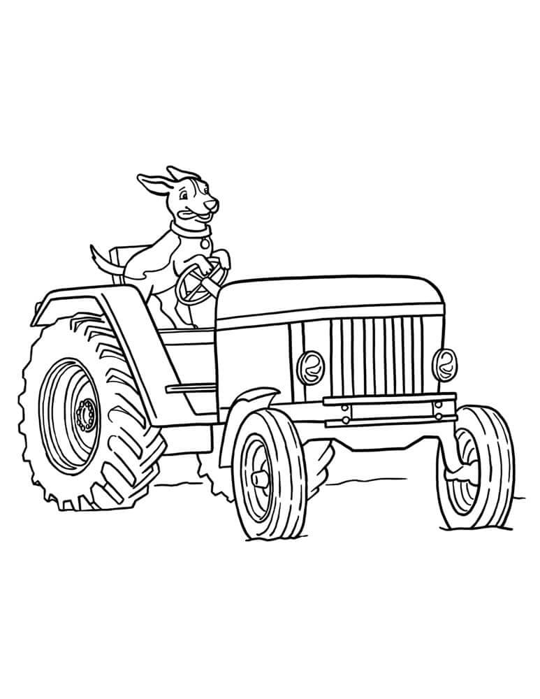 Traktor Mengemudi Anjing