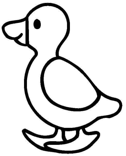 Bebek Kecil untuk Anak Usia 1 Tahun