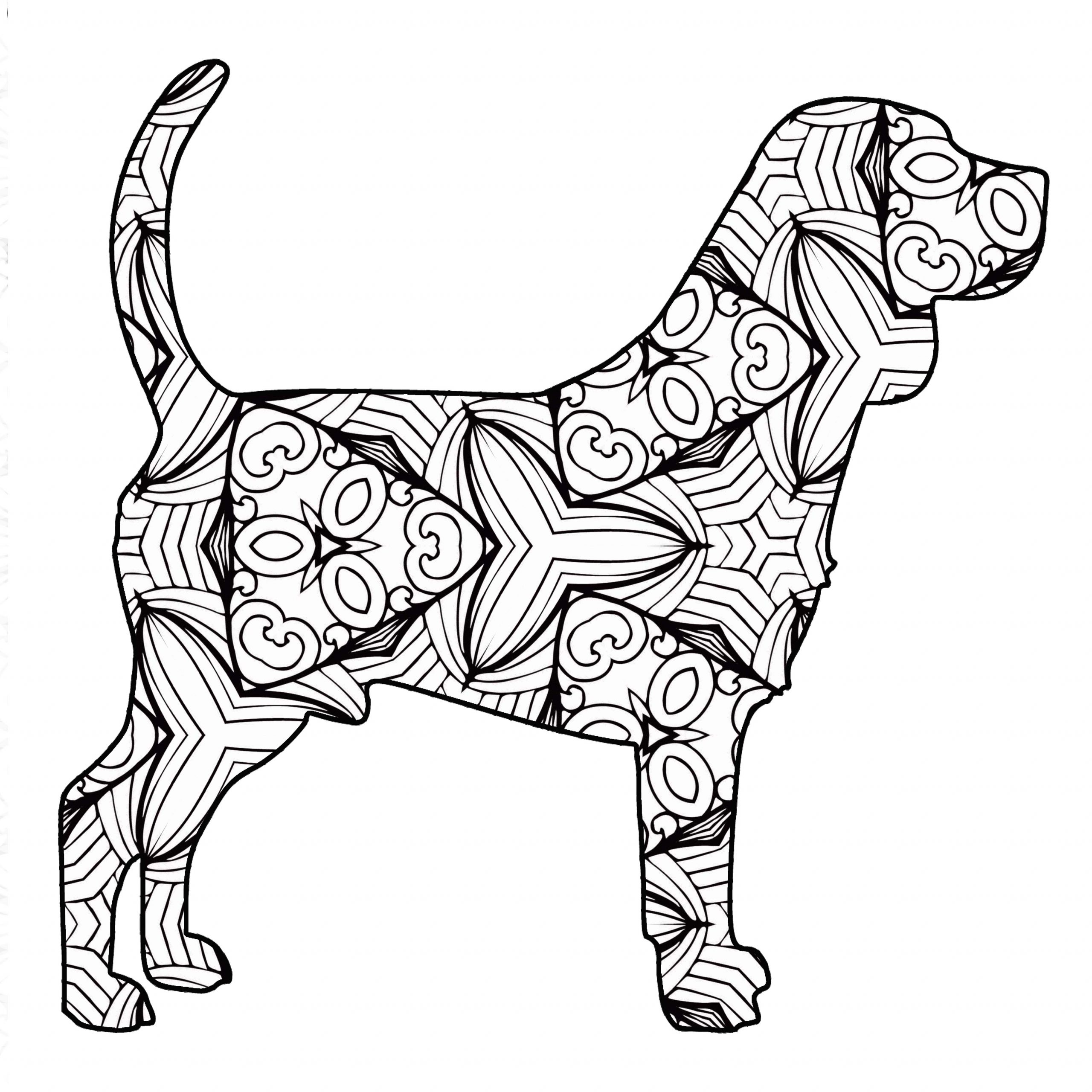 Anjing Mandala
