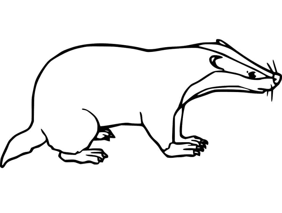 Babi Luak
