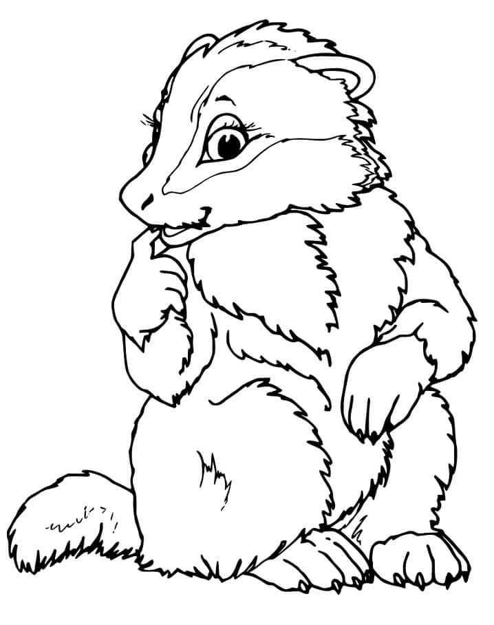 Badger yang Bagus