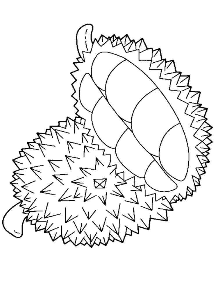 Durian Yang Indah