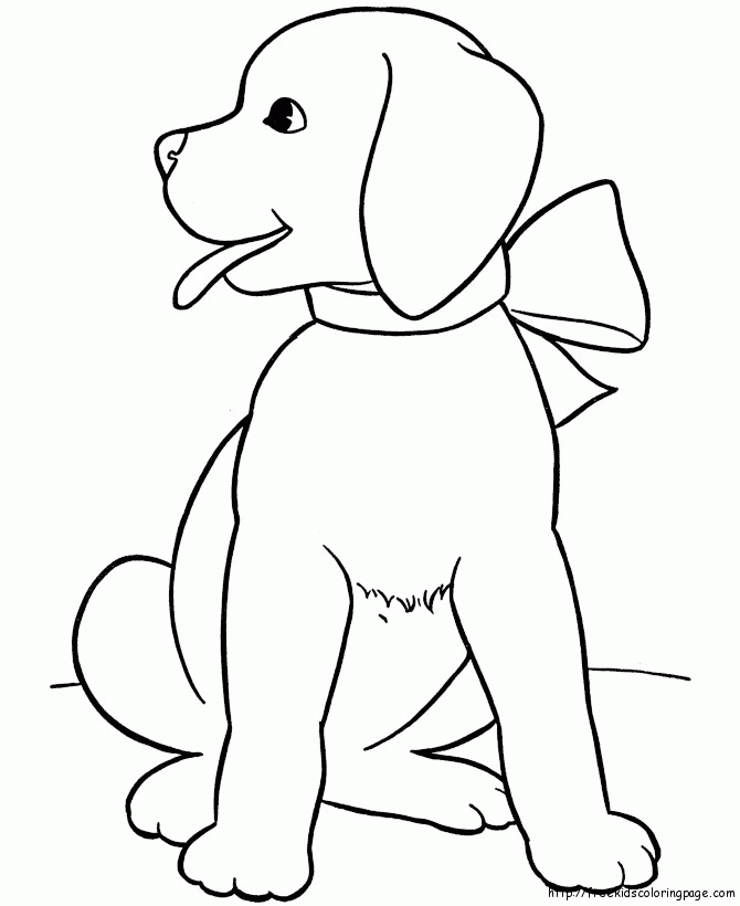 Kartun Anjing Lucu
