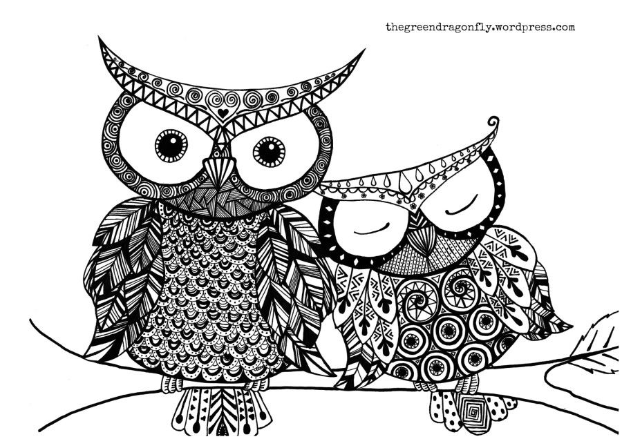 Dua Burung Hantu Mandala