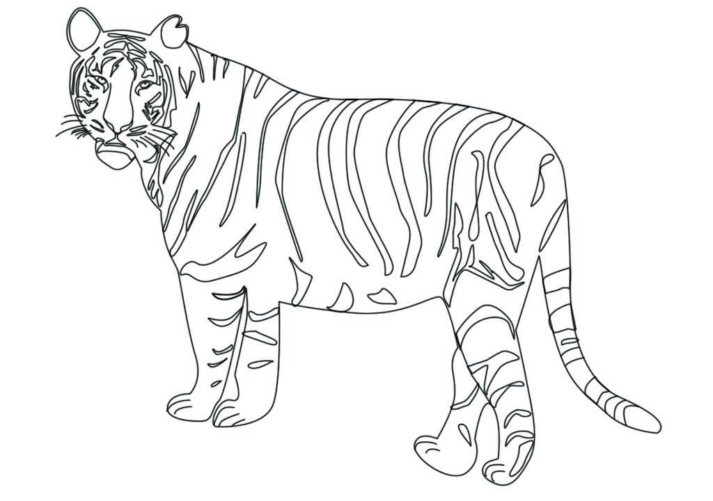 Harimau Liar Keren