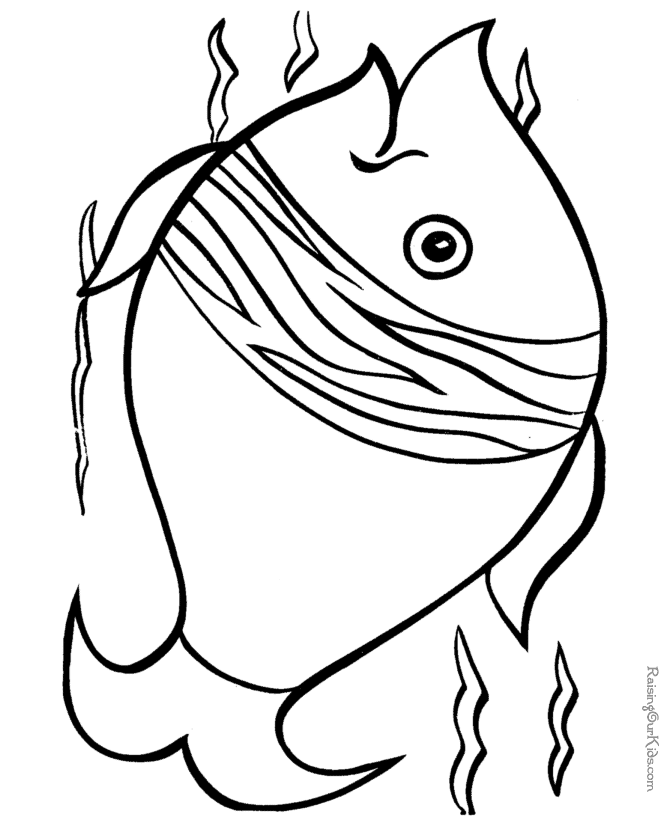 Ikan Musim Dingin