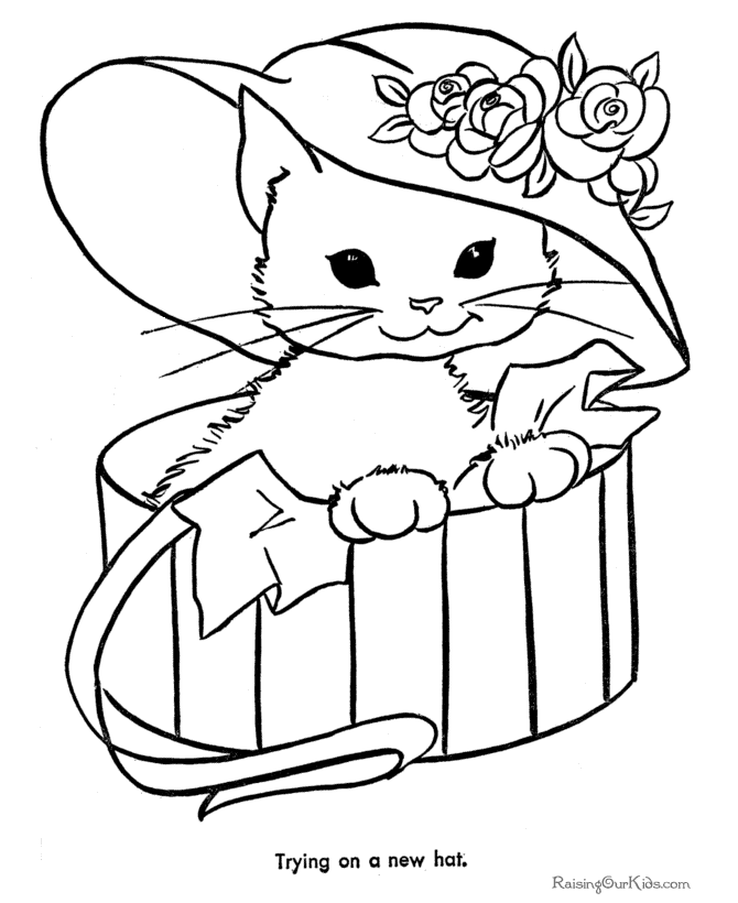 Kucing Musim Dingin