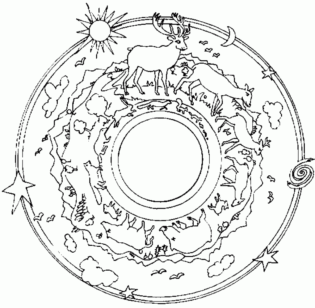 Mandala Hewan Terestrial