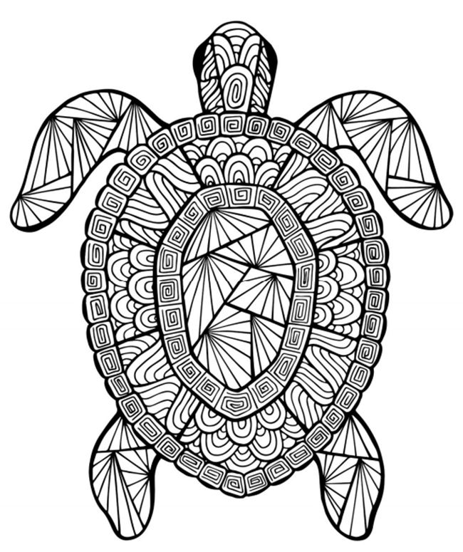 Mandala Penyu