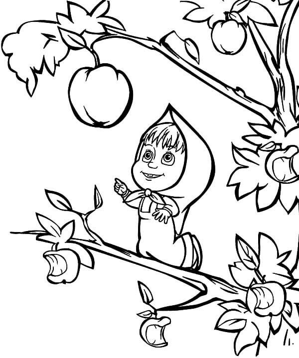 Masha dan Panjat Pokok