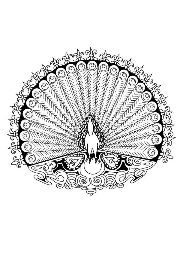 Merak Mandala