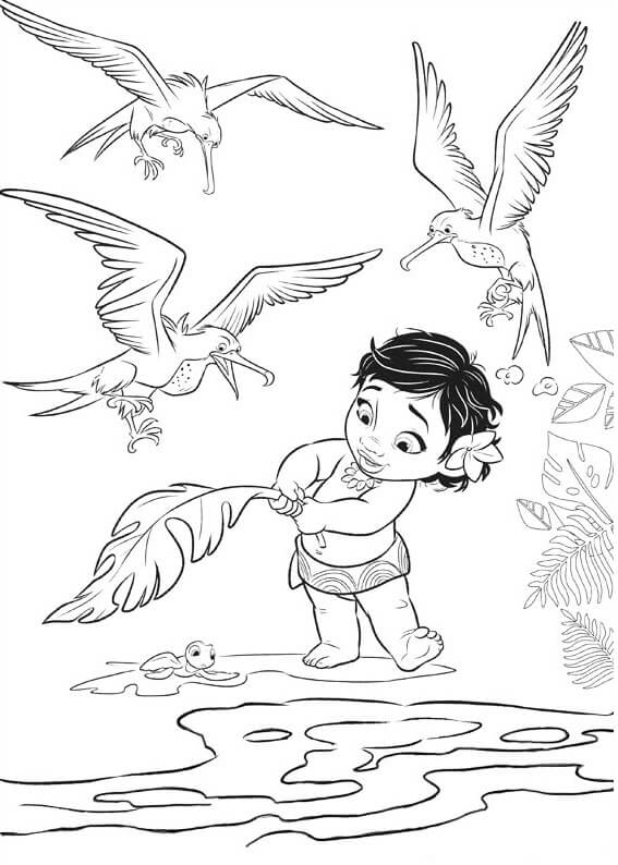 Moana dan Burung