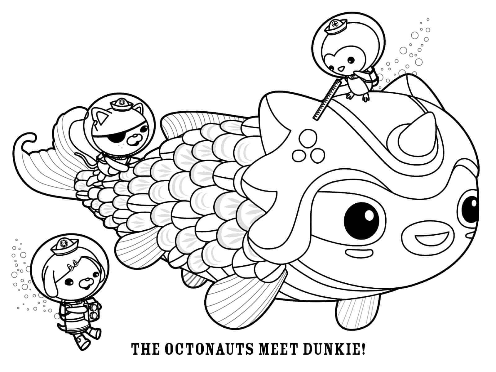 Octonauts Bertemu Dunkie