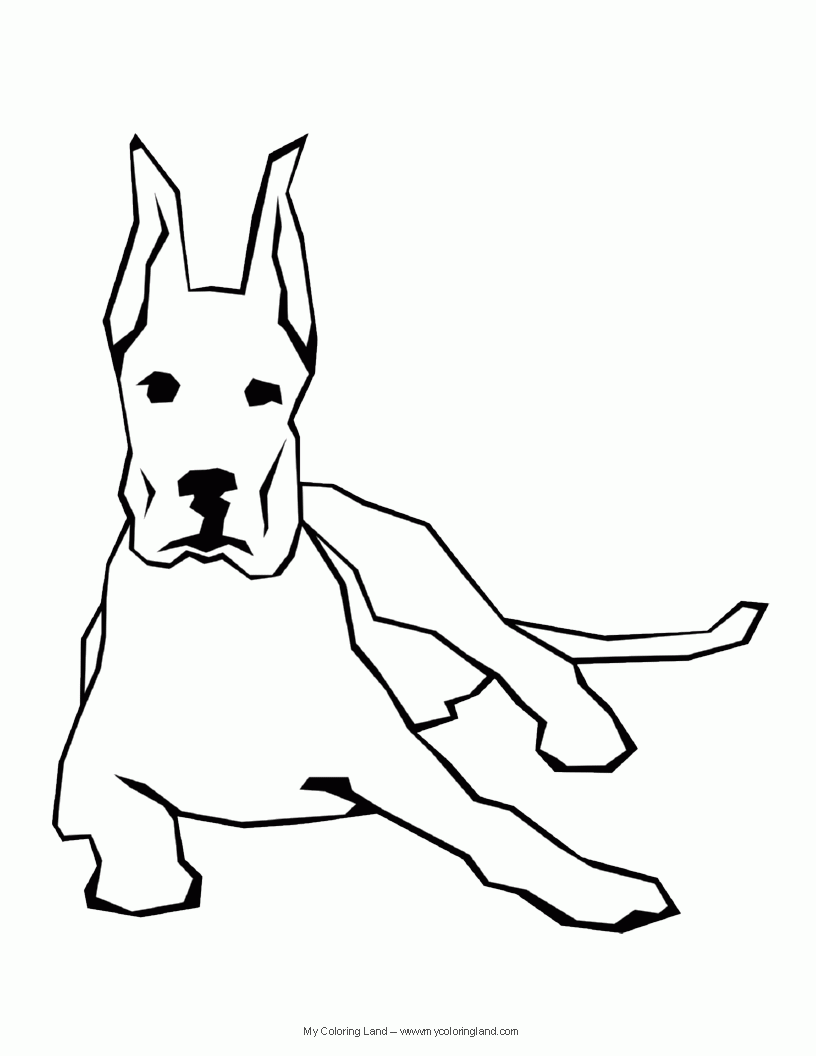 Anjing Pitbull Berbohong 1