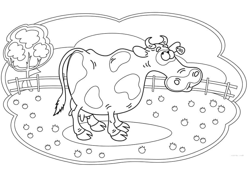 Sapi terlihat Lucu