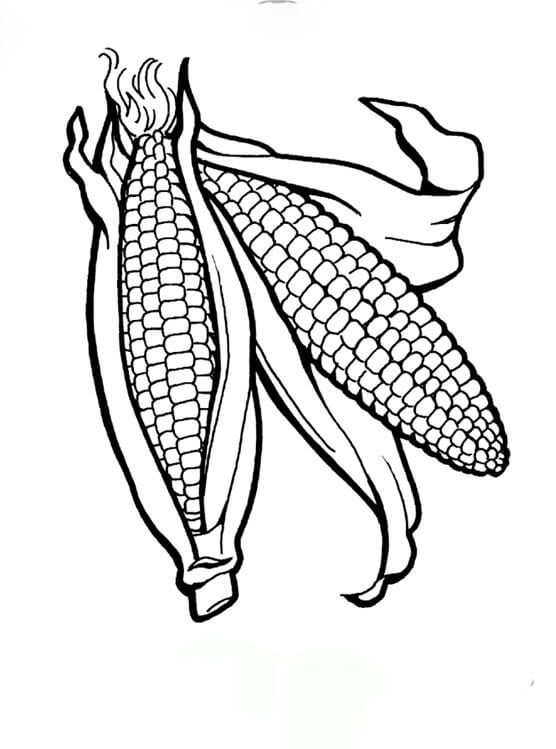 Dua Jagung