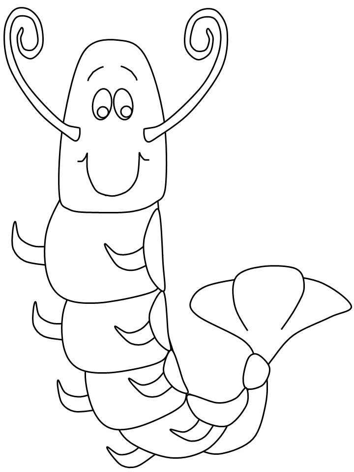 Udang Laut