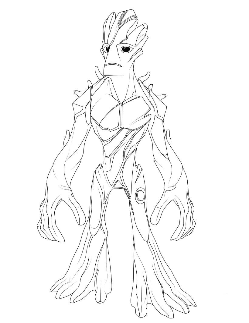 Dasar Groot