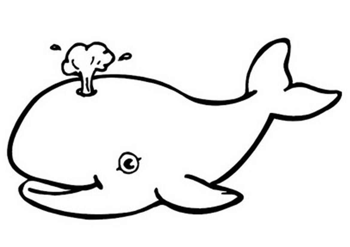 basic-whale