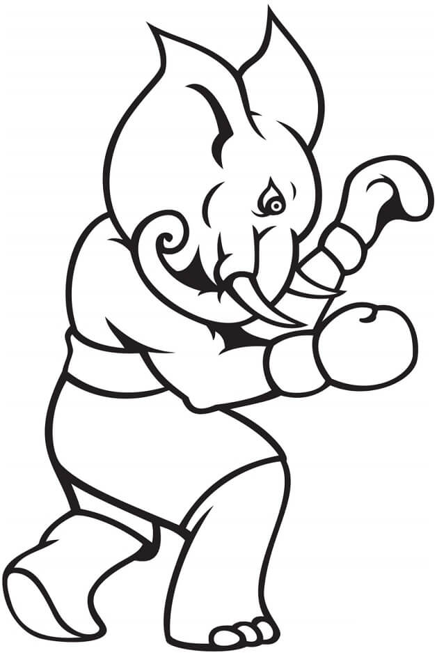 Pemain Tinju Gajah