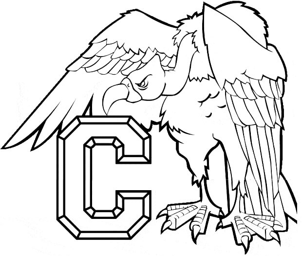 Condor untuk C