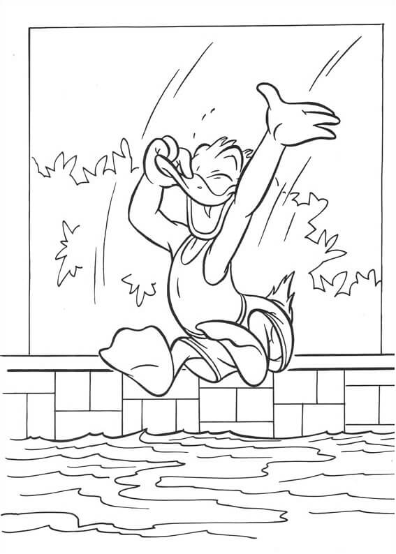 Donald Melompat Di Kolam