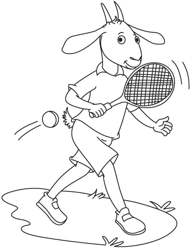 Kambing Bermain Tenis