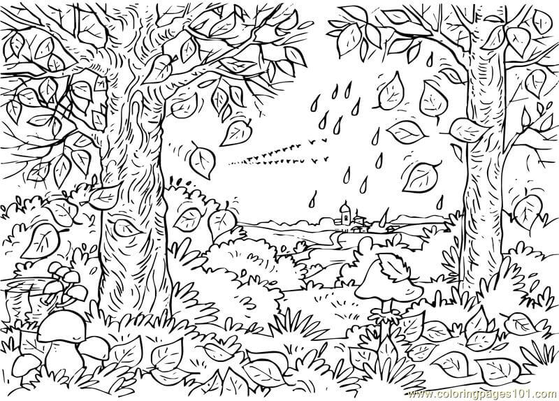 Hutan di Musim Gugur