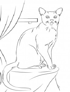 Kucing Duduk Di Meja