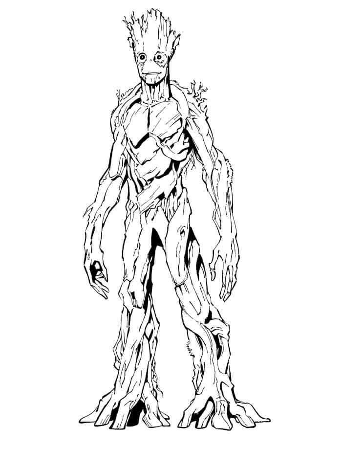 Groot Tua