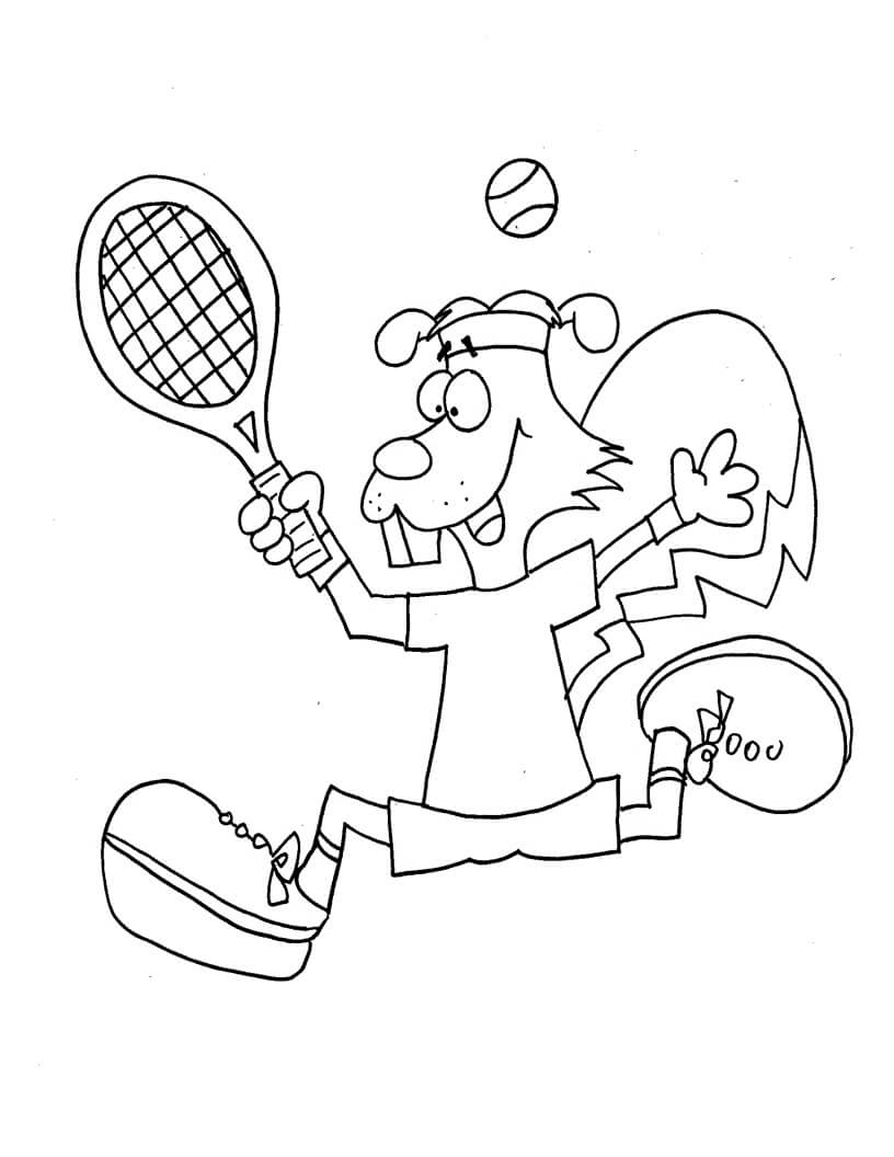 Tupai Bermain Tenis