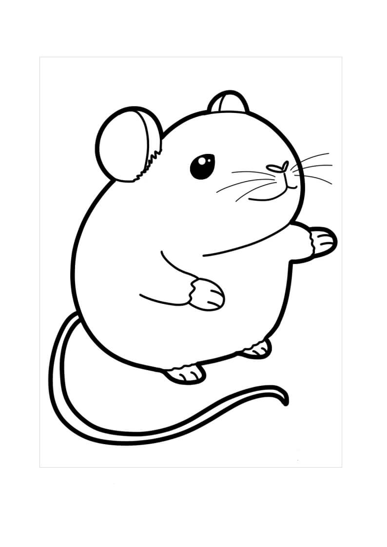 Tikus Tersenyum Comel