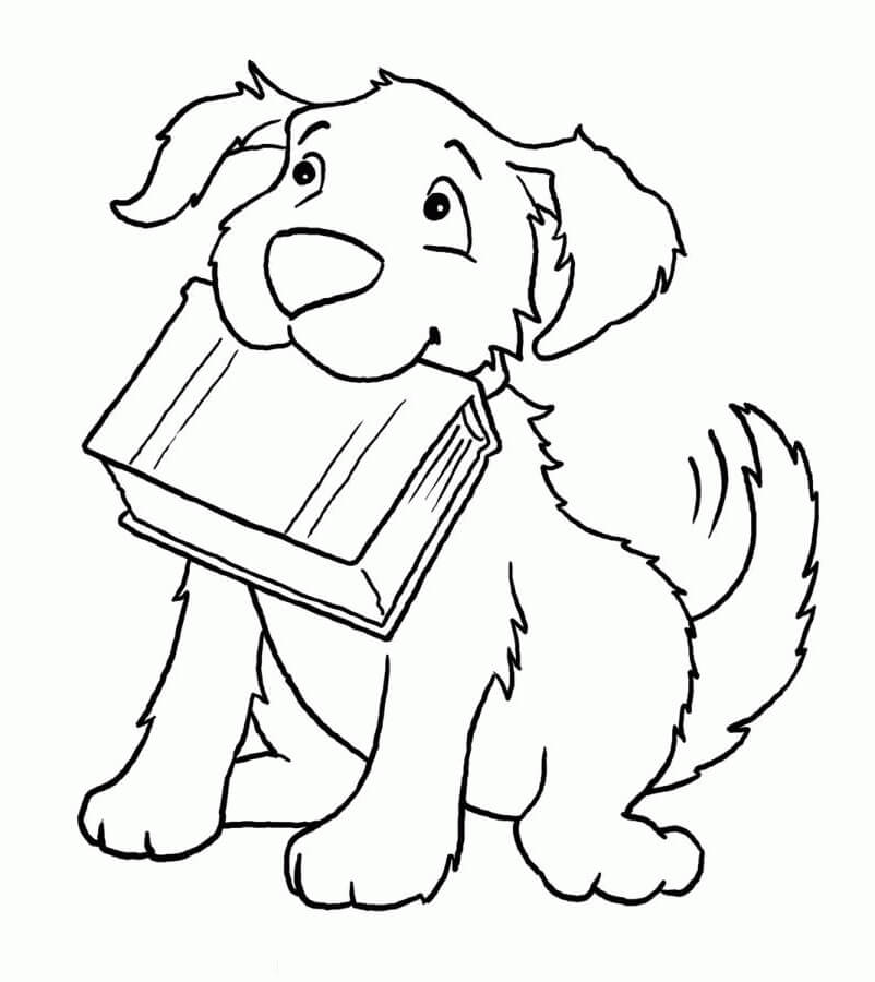 Buku Menggendong Anjing
