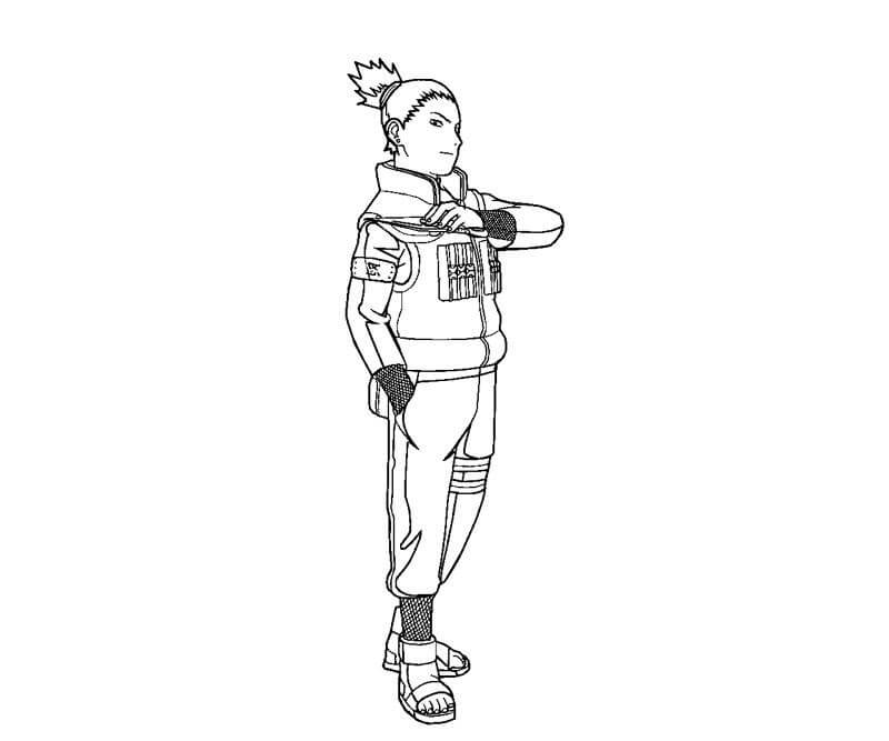 Baik Shikamaru