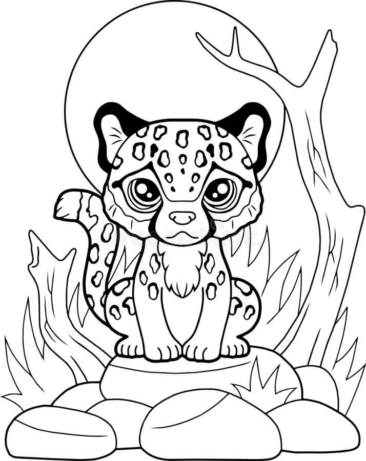 Bayi Cheetah Duduk di Batu