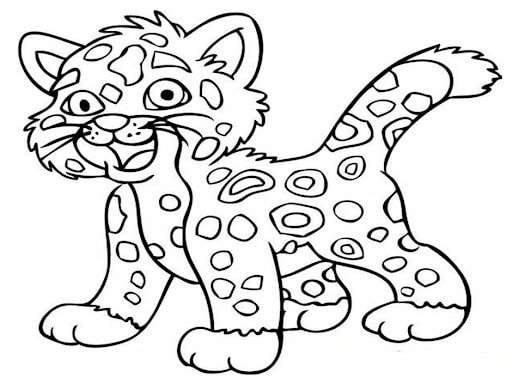 Bayi Cheetah Lucu