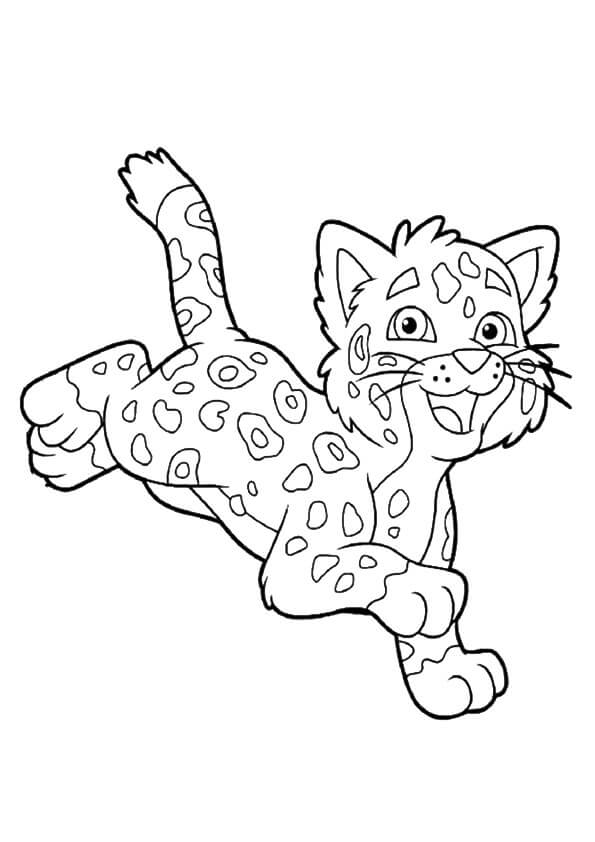 Bayi Cheetah Melompat