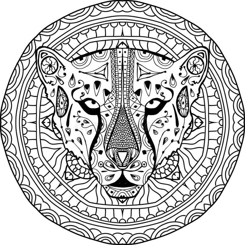 Cheetah Adalah Untuk Dewasa