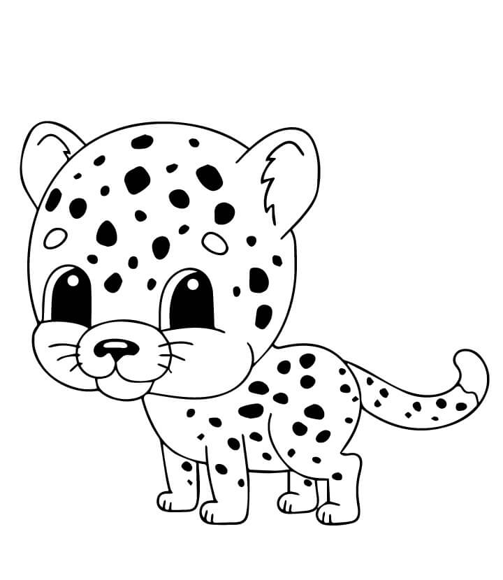 Cheetah Kecil