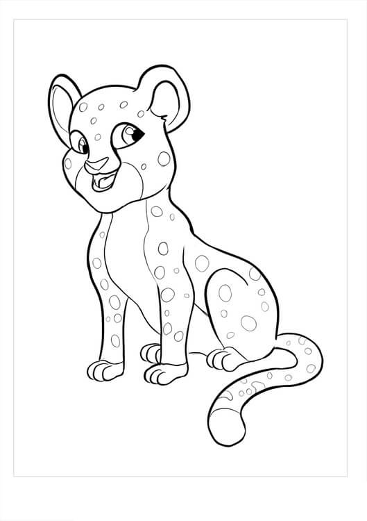 Cheetah Menyenangkan