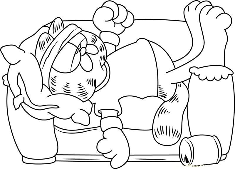 Garfield Tidur di Sofa