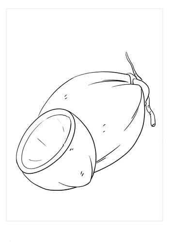 Kelapa Luar Biasa