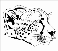 Kepala Cheetah