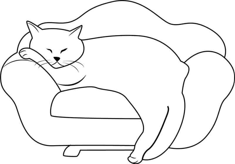 Kucing Tidur di Sofa
