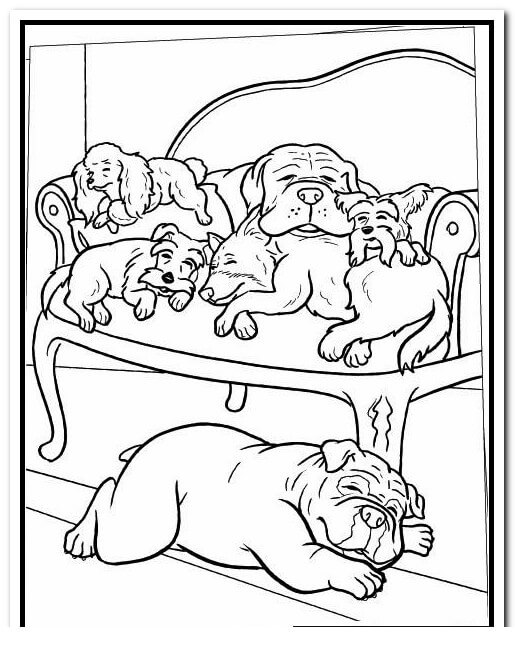 Lima Anjing Tidur di Sofa