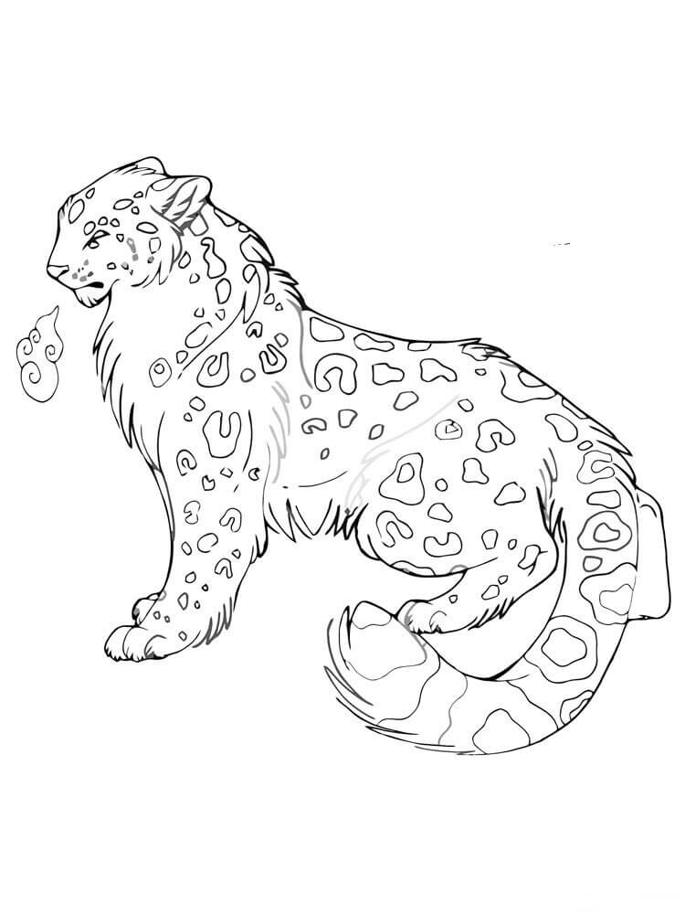 Macan Tutul Salju yang Lucu