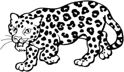 Macan Tutul Sederhana