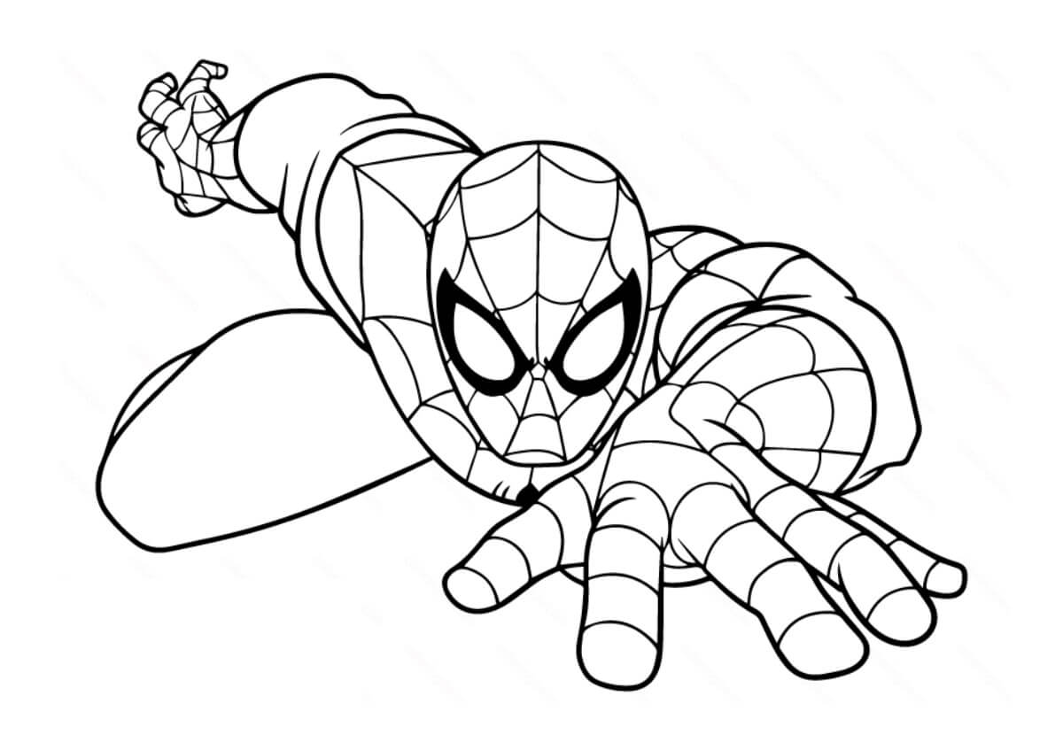 Маленький человек паук рисунок. Раскраска человек паук маленький. Spider draw for Kids раскраска. Spider man Coloring Pages for Kids. Coloring for Kids Spiderman Kid.