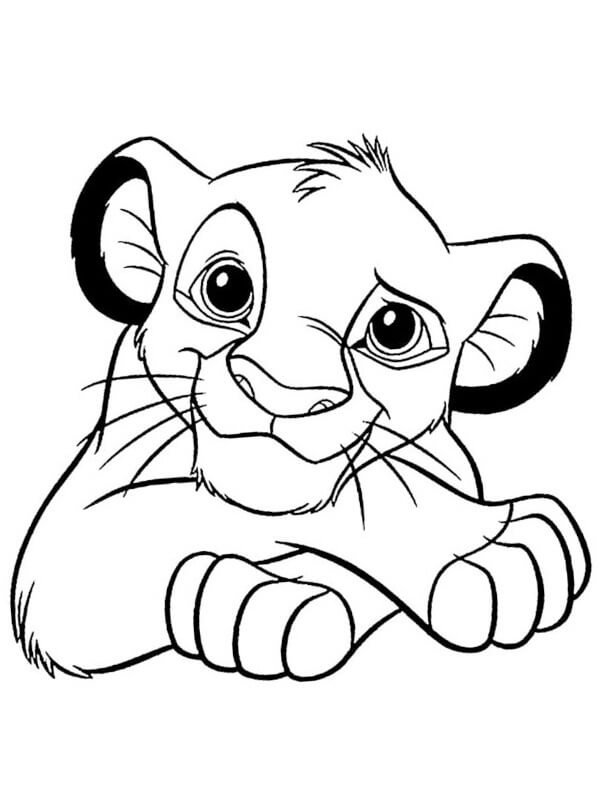 Simba Berbaring
