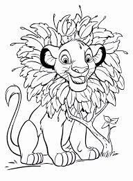 Simba dan Bunga